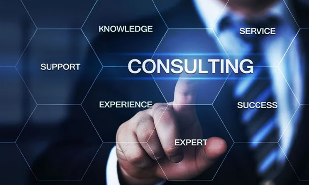 Consulting Services 