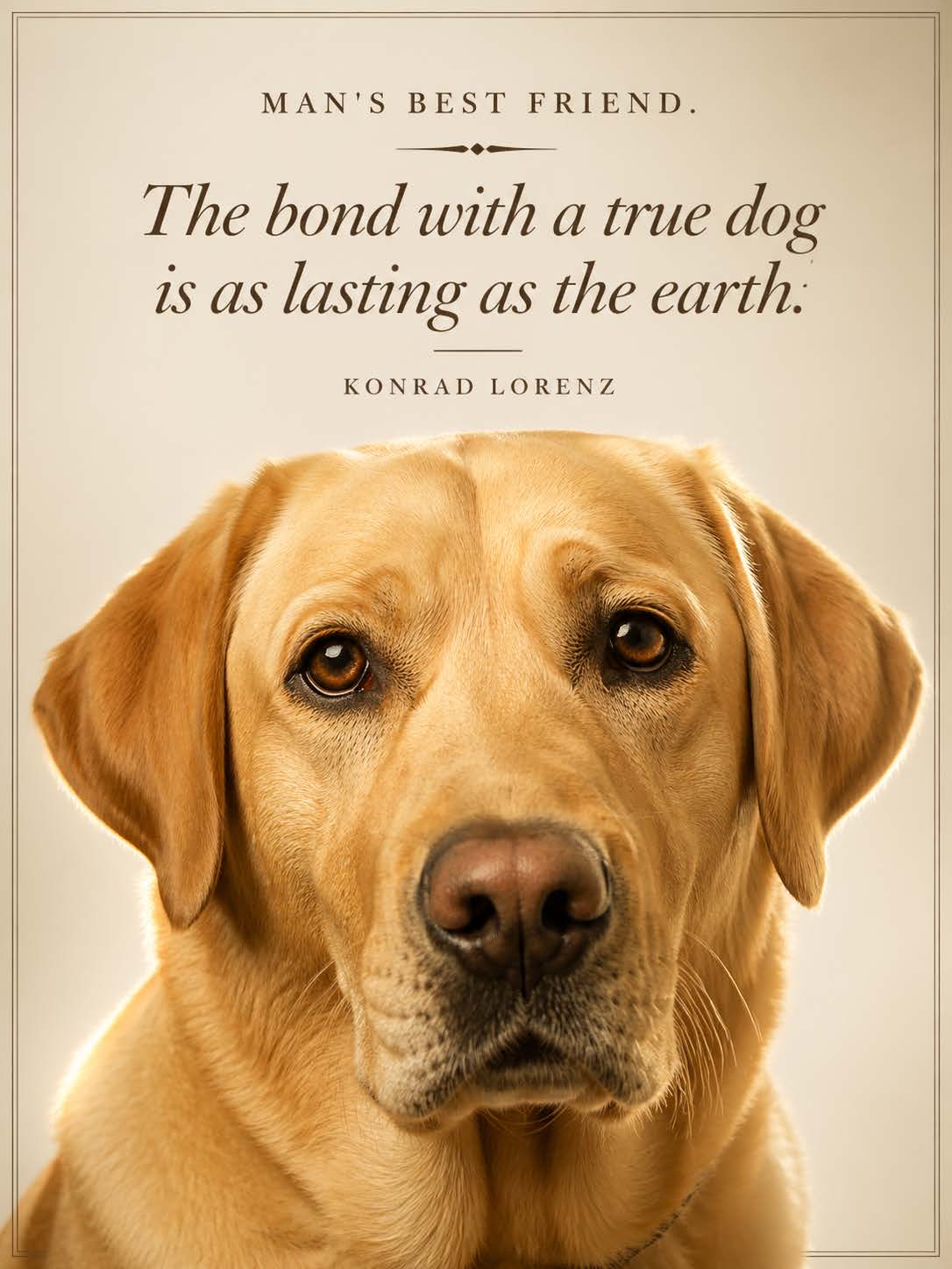 Man's Best Friend